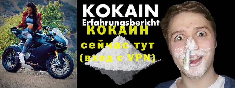 купить закладку  Лукоянов  COCAIN Перу 